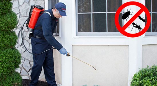 Tarsus Akrep İlaçlama böcek ilaçlama ve haşere kontrolü — ilaclama-tr.com